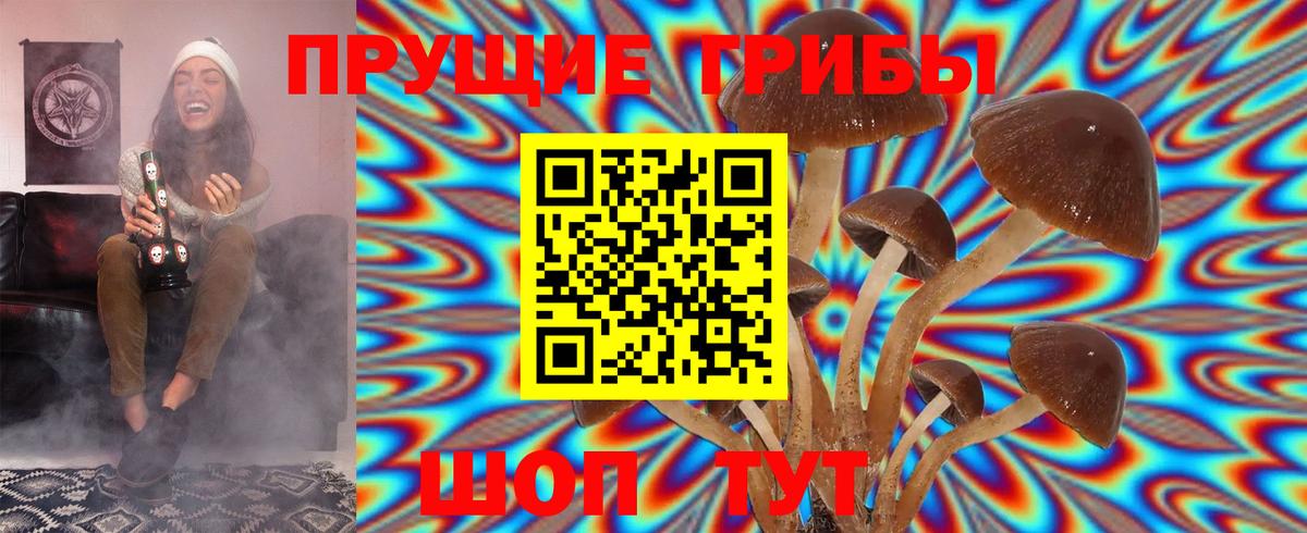 Псилоцибиновые грибы GOLDEN TEACHER  Вход с VPN  Коркино 